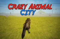 Wild Animal City Adventure