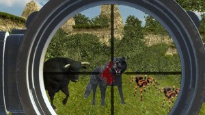 Wildlife Observation: Jungle Explorer