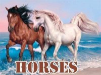 Horses Slide Puzzle Game - Puzzle Game