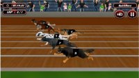 Dog Racing Simulator Arcade