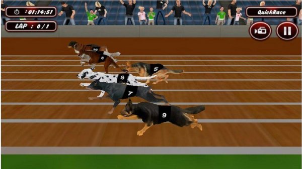 Real Dog Racing Simulator Game 2020 Online Arcade Game