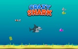 Crazy Shark: Ocean Precision Fighter