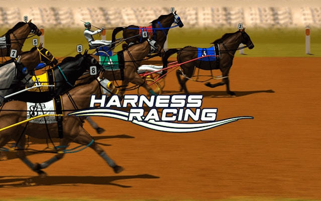 Harness Racing Horse Simulation Game