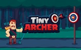 Tiny Archer: Bow Master Challenge