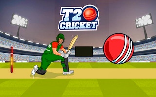 T20 Cricket Game