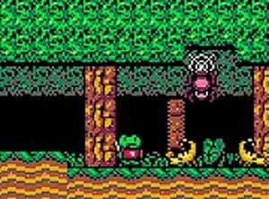 Leap Through the Woodland Realm